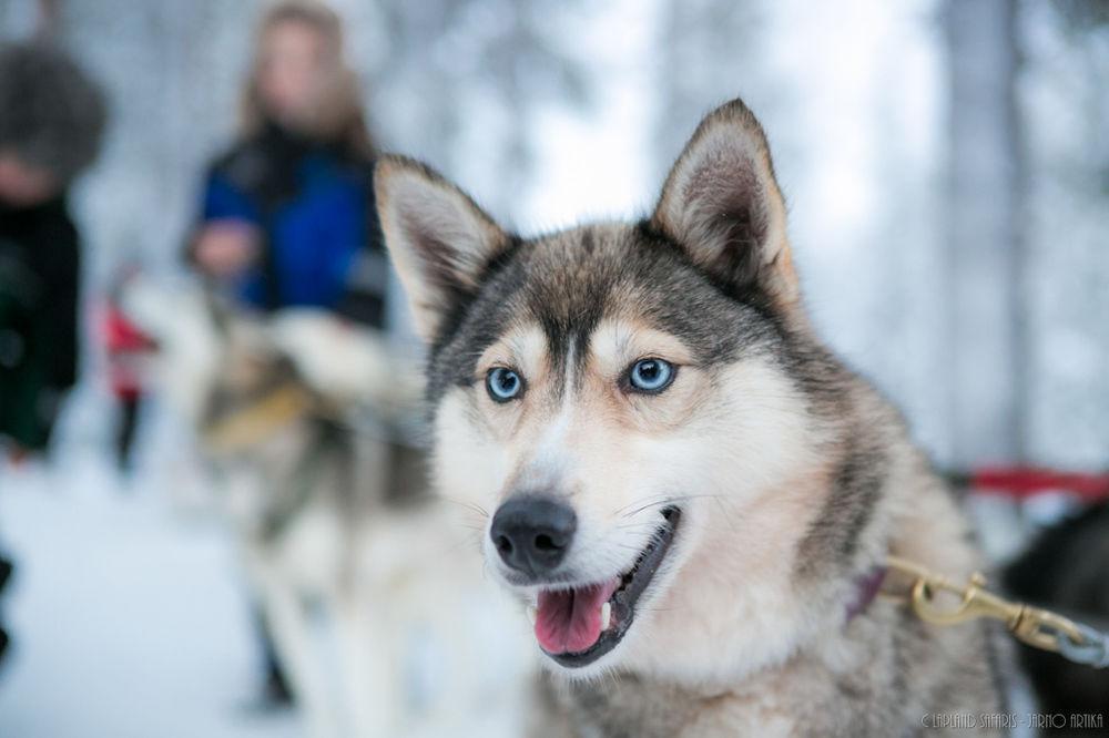 Lapland Hotels Snowvillage Яллас'ярві Екстер'єр фото