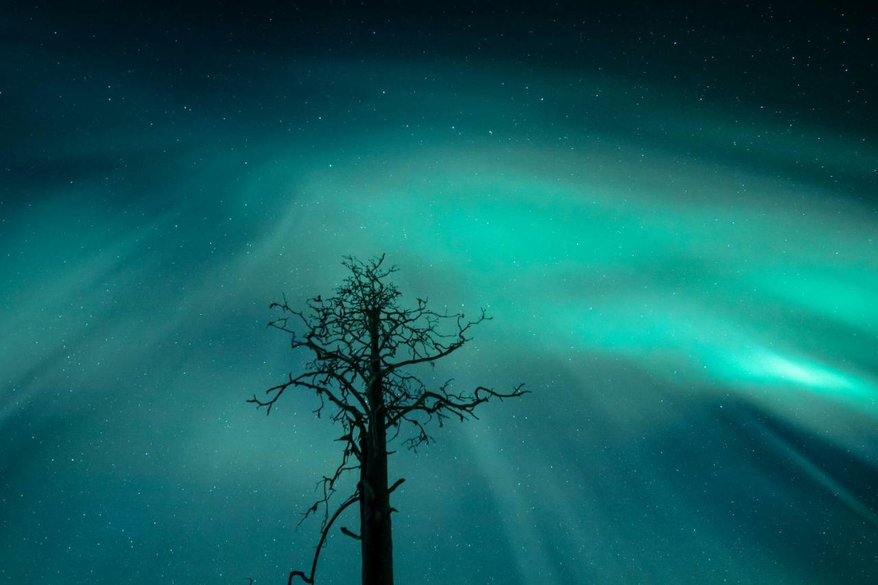 Lapland Hotels Snowvillage Яллас'ярві Екстер'єр фото